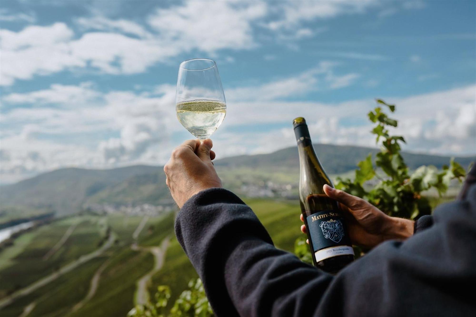 Gaestehaus Weingut Mathy-Schanz Osann-Monzel 외부 사진