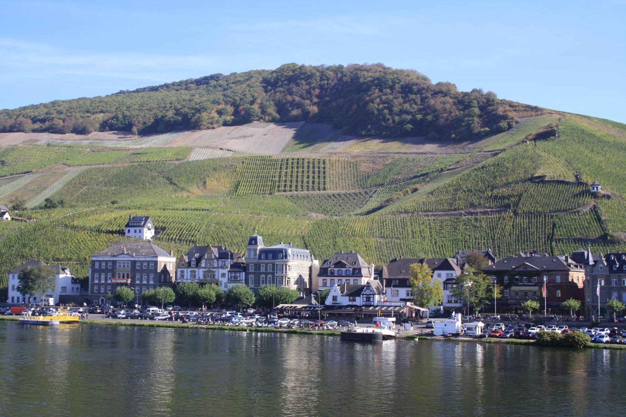 Gaestehaus Weingut Mathy-Schanz Osann-Monzel 외부 사진