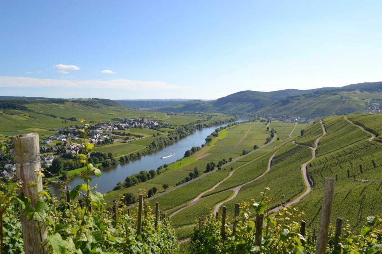 Gaestehaus Weingut Mathy-Schanz Osann-Monzel 외부 사진