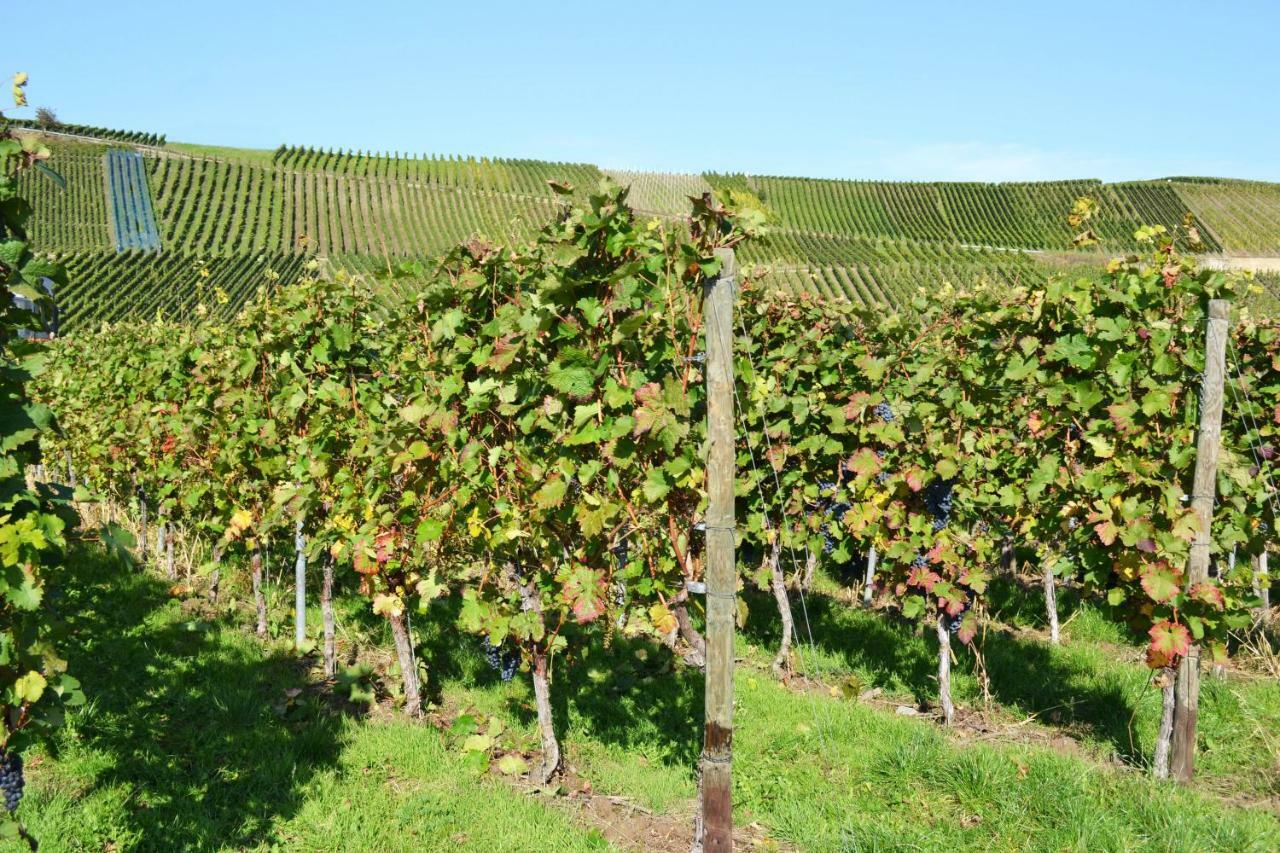 Gaestehaus Weingut Mathy-Schanz Osann-Monzel 외부 사진
